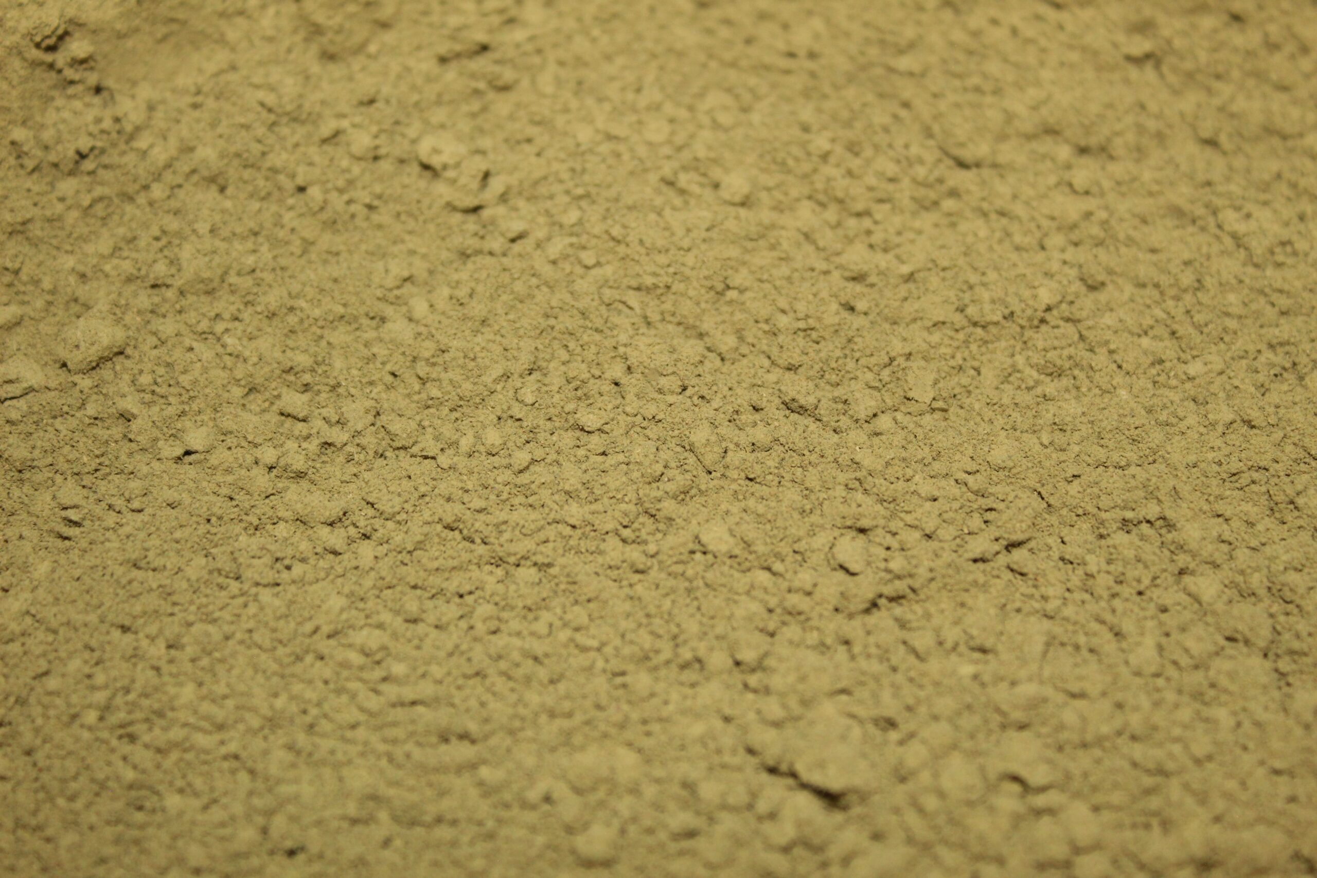 Wild White Elephant (Powder) - Image 2
