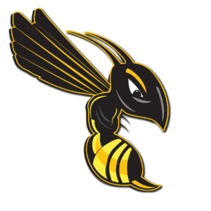 Hornet 2x Enhanced Kratom Powder - 100g