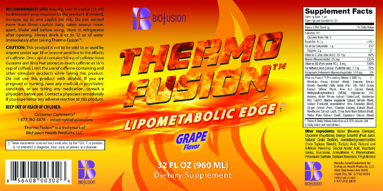 ThermoFusion - Image 2